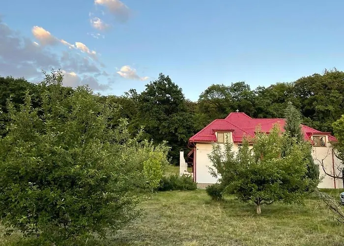 Casa Ina Rasnov