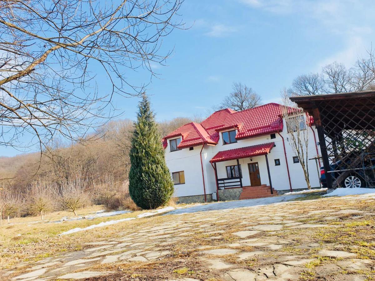 Casa Ina Vilă *