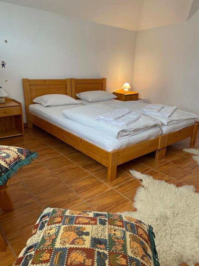 Vilă Casa Ina *
