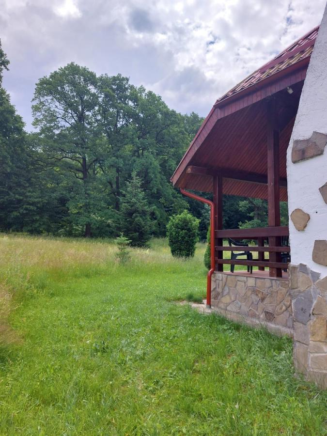 Casa Ina Vilă *