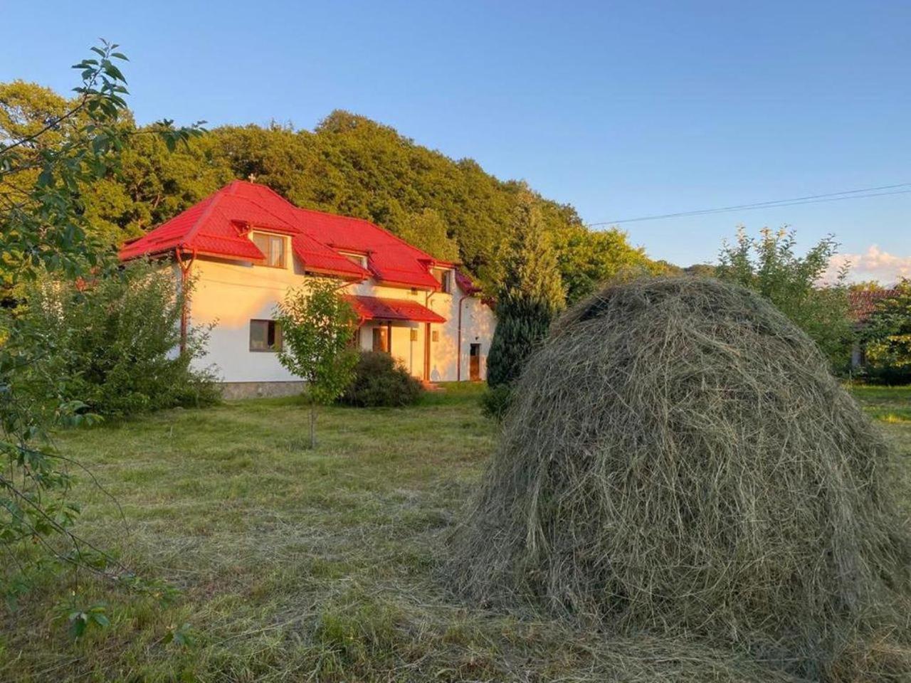 Casa Ina Vilă Rîşnov